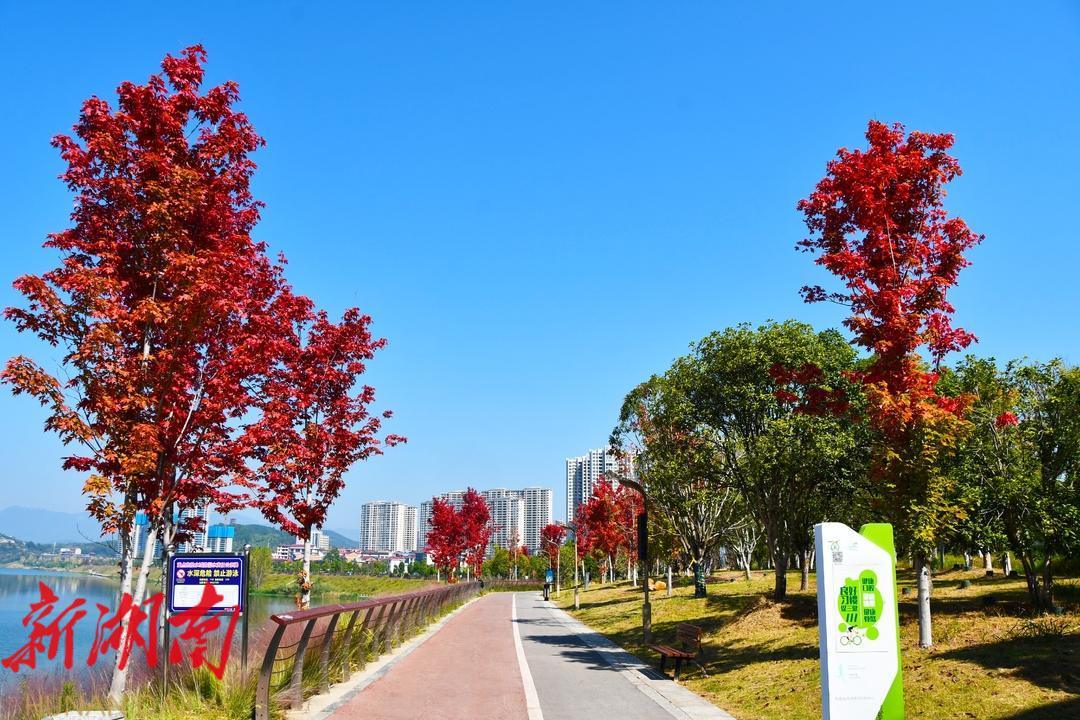 “黛”你尽享新邵好“枫”景_邵阳头条网